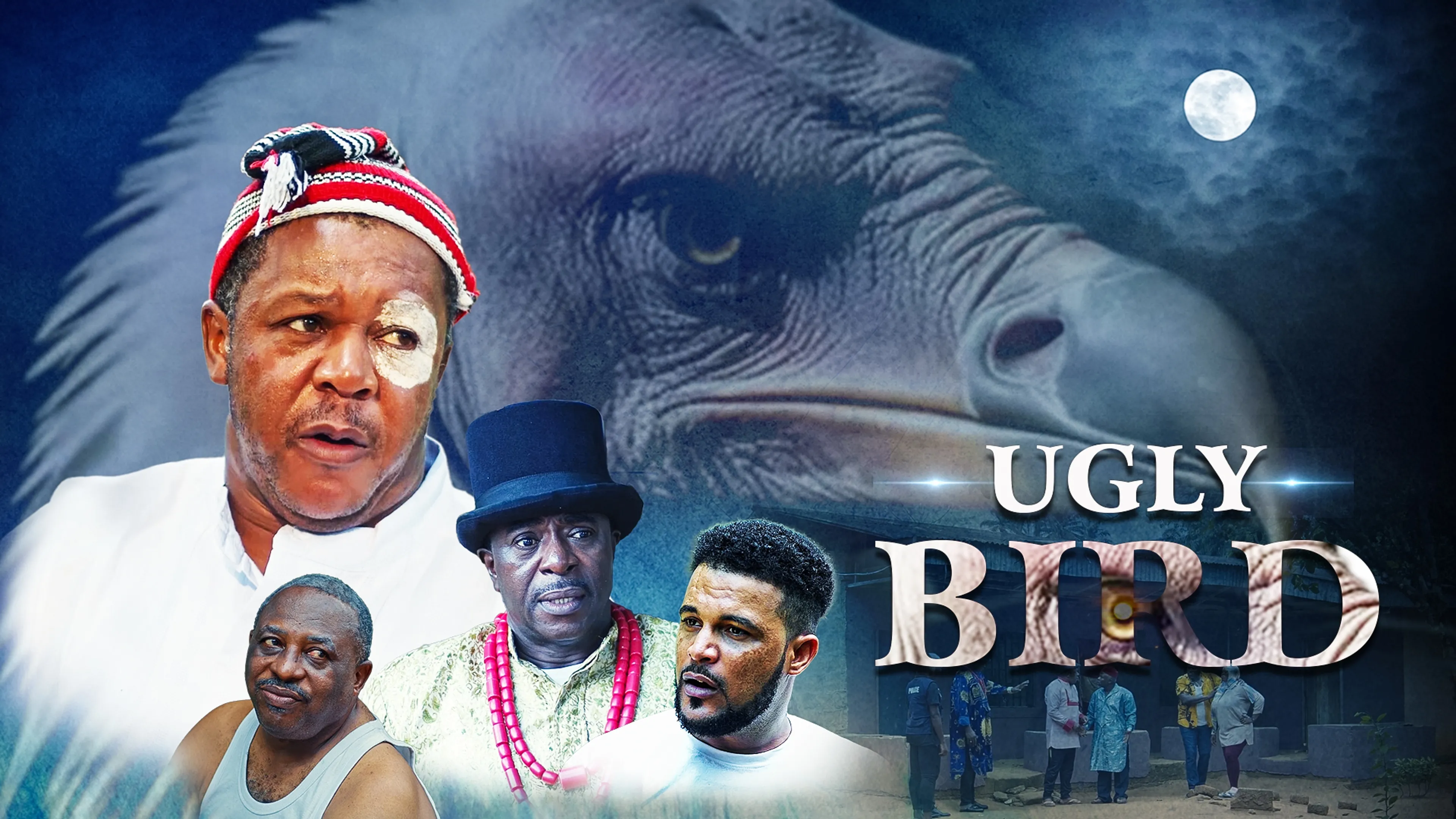 Ugly Bird poster